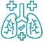 segment1